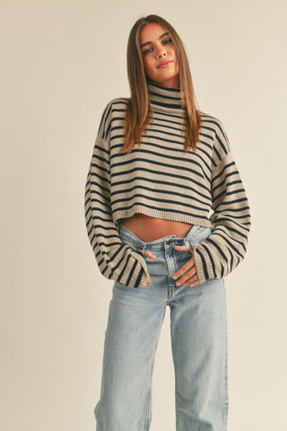 Andie Striped Turtle Neck Crop Sweater Top