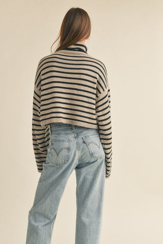 Andie Striped Turtle Neck Crop Sweater Top