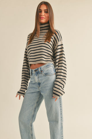 Andie Striped Turtle Neck Crop Sweater Top