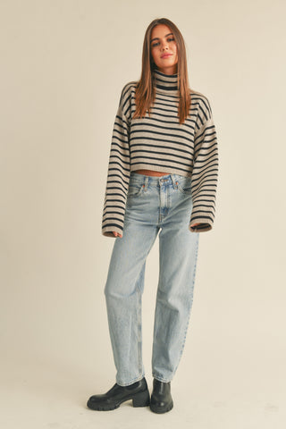 Andie Striped Turtle Neck Crop Sweater Top