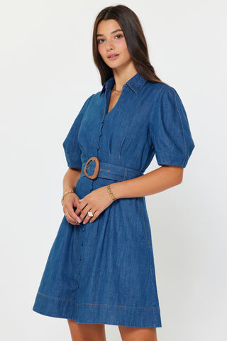 AMARA  MINI DRESS