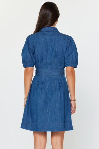 AMARA  MINI DRESS