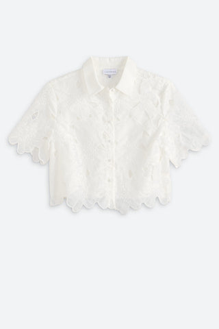 EFFIE BUTTON DOWN